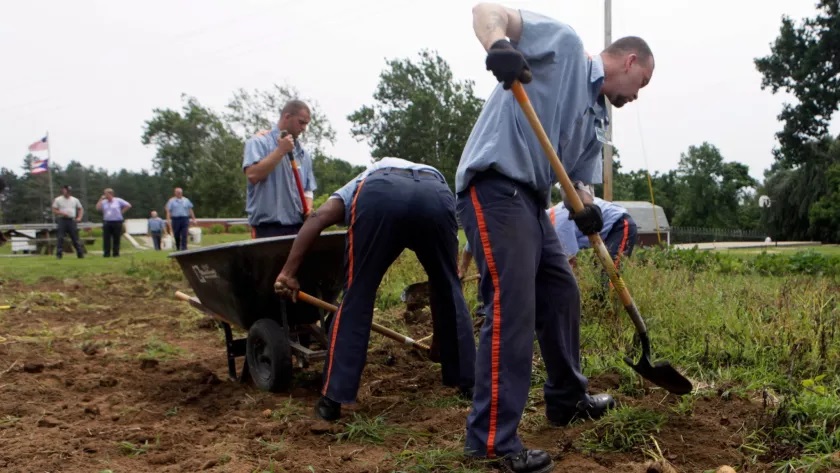 Detentos trabalhando numa plantação de batatas no Instituto Penal in Lancaster, Ohio, Agosto 4 2009. Fonte: Kiichiro Sato / Associated Press